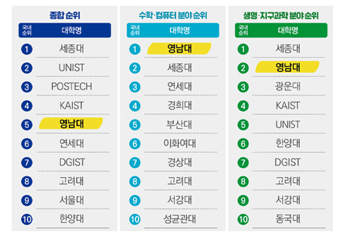 영남대, 2024 라이덴랭킹 첫 ‘국내 TOP5’ 진입!